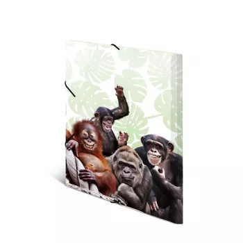 Capa de arquivo convencional HERMA Monkey Gang polipropileno A3