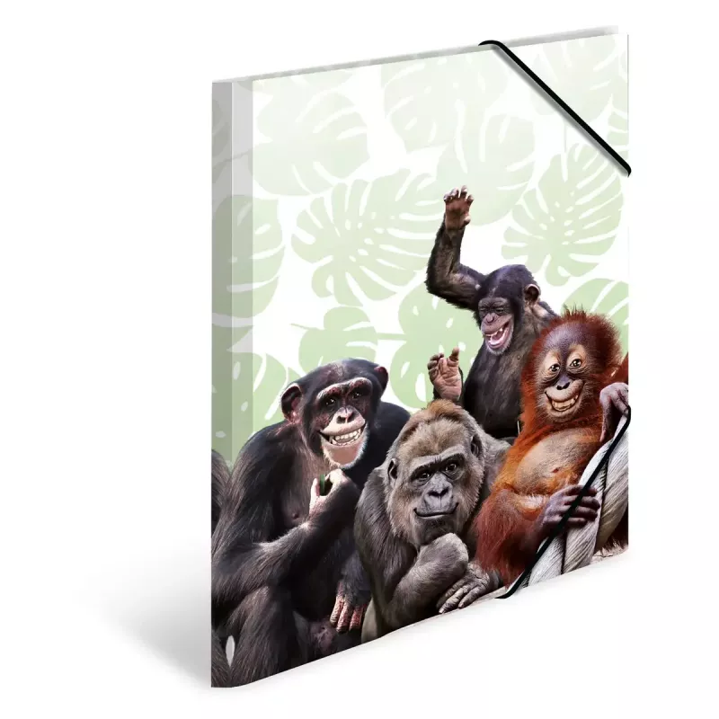 Capa de arquivo convencional HERMA Monkey Gang polipropileno A3