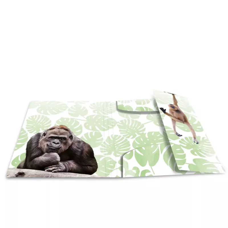 Capa de arquivo convencional HERMA Monkey Gang polipropileno A3