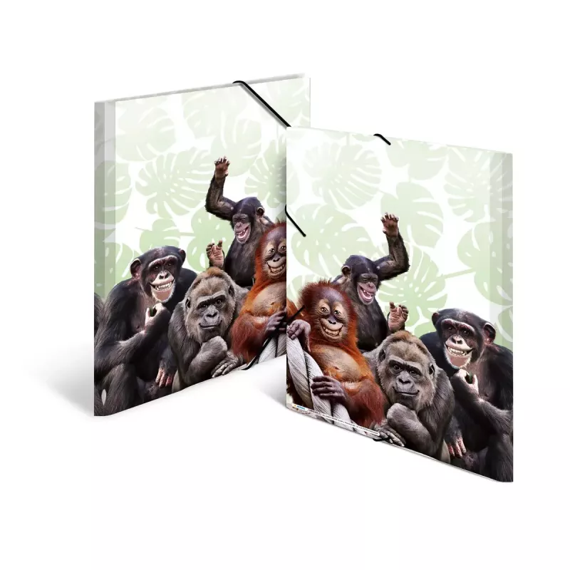 Capa de arquivo convencional HERMA Monkey Gang polipropileno A3