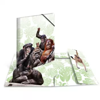 Capa de arquivo convencional HERMA Monkey Gang polipropileno A3