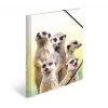 Capa de arquivo convencional HERMA Erdmännchen-Clique