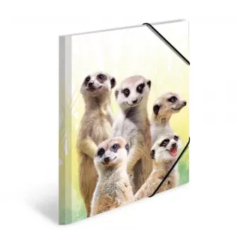 Capa de arquivo convencional HERMA Erdmännchen-Clique