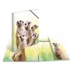 Capa de arquivo convencional HERMA Erdmännchen-Clique