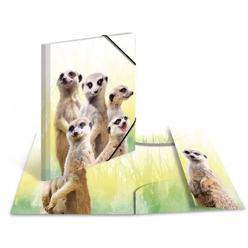 Capa de arquivo convencional HERMA Erdmännchen-Clique