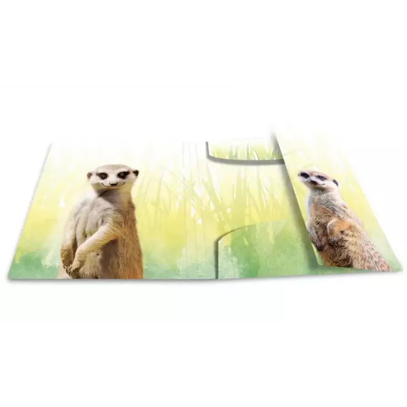Capa de arquivo convencional HERMA Erdmännchen-Clique