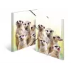 Capa de arquivo convencional HERMA Erdmännchen-Clique