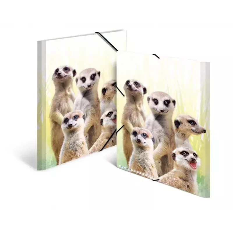 Capa de arquivo convencional HERMA Erdmännchen-Clique