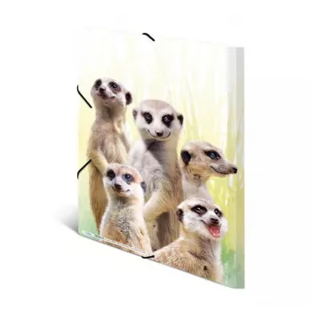 Capa de arquivo convencional HERMA Erdmännchen-Clique