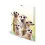 Capa de arquivo convencional HERMA Erdmännchen-Clique
