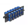 DeLOCK Painel adaptador de fibra ótica SC Simplex UPC 12 portas azul