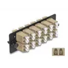 DeLOCK Placa adaptadora de fibra ótica LC Duplex OM1 OM2 12 portas bege