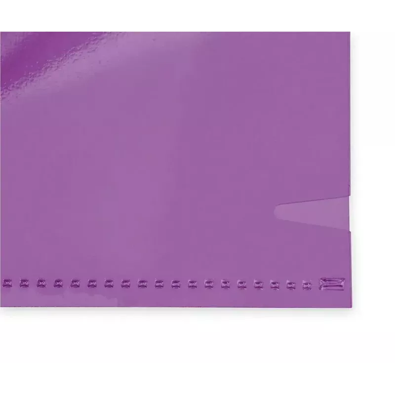 ELBA 680615-20 bolsas transparentes, A4, PVC, 0,15 mm, transparentes, cores sortidas (azul, amarelo, vermelho, violeta, verde)