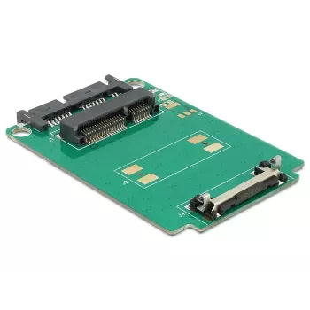 Placa de interfaces interna DeLOCK 62520