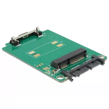 Placa de interfaces interna DeLOCK 62520