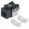 Keystone Jack Intellinet, Cat6, UTP, ferramenta de inserção LSA, preto, plano, preto, RJ-45, fêmea, 22/26, Cat6