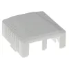 Caixa de superfície, 2 portas, CAT6, não blindada, ACT FA6002, 29×61×29,5 mm