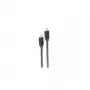 shiverpeaks BASIC-S cabo de USB-C para USB-C, USB 3.2 Gen 2x2, 100 W, 2 m