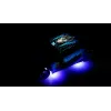 Amewi 21133 Drift Sport Muscle Car carro RC, 4WD, 1:24, RTR, azul, 6+