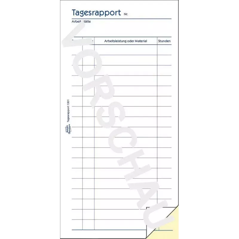 Formulário/livro de contabilidade AVERY 1301 50 páginas