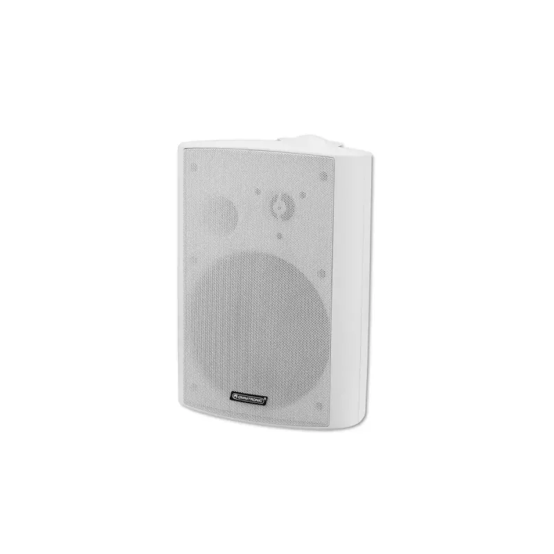 Altifalante de 2 vias Omnitronic 80710531 40 W