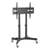 Manhattan 462679 carrinho para TV extrabaixo, 23-70 polegadas, 40 kg