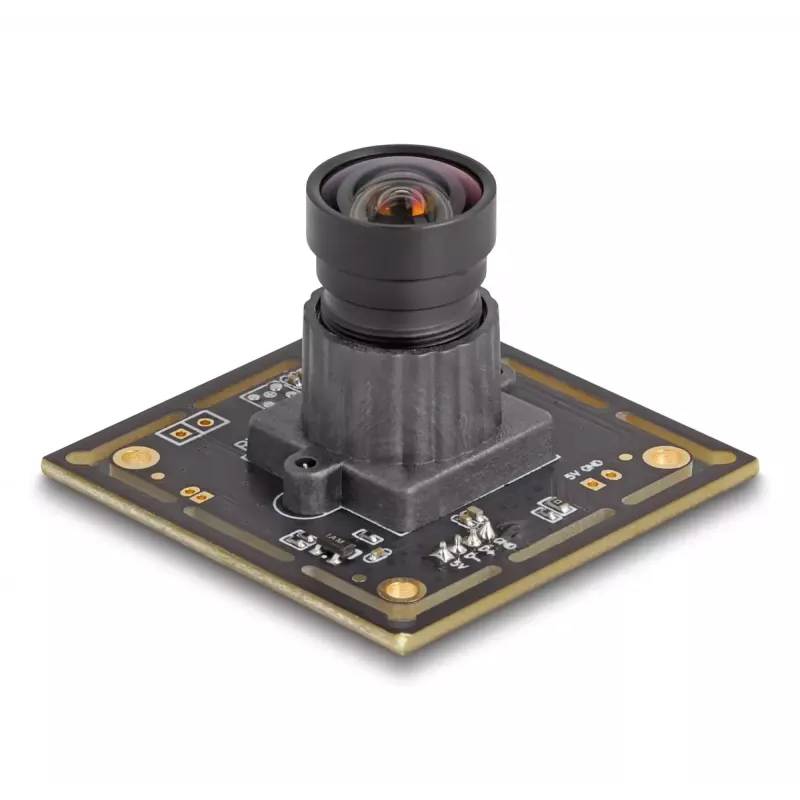 Webcam DeLOCK 12072 2,1 MP 1920 x 1080 USB 2.0 preto