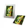 Papel fotográfico Avery C2549-20P brilhante
