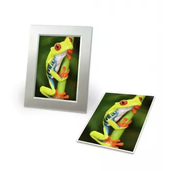 Papel fotográfico Avery C2549-20P brilhante