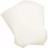 Películas de plastificação DAHLE A3 303x426 mm 160 µm (2x80 µm) – pack de 100