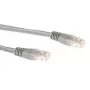 Cabo de rede U/UTP CAT6A LSZH com fichas RJ45 ACT cinzento 0,25 metros