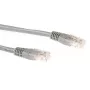 Cabo de rede U/UTP CAT6A LSZH com fichas RJ45 ACT cinzento 10 metros