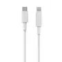 Cabo Lightning 2GO 795848 1 m USB C para Lightning branco