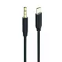 Cabo de áudio 2GO 797219 1 m 3,5 mm USB Type-C preto