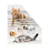 Arquivador de revistas HERMA gatos A4 amarelo