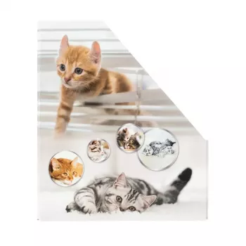 Arquivador de revistas HERMA gatos A4 amarelo