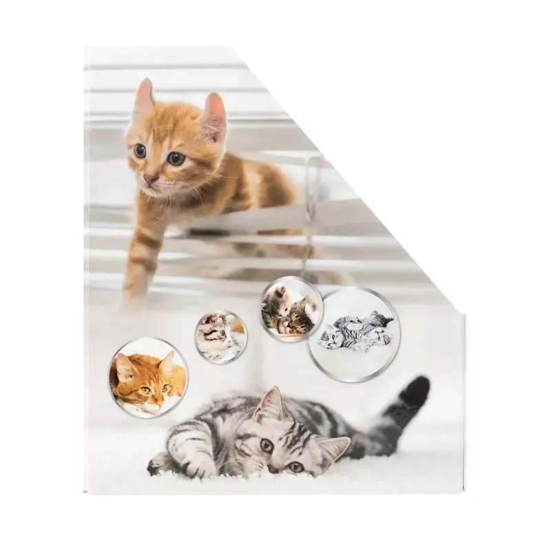 Arquivador de revistas HERMA gatos A4 amarelo