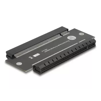 Placa de interface interna DeLOCK 81293