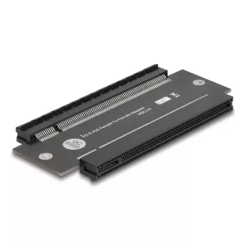 Placa de interface interna DeLOCK 81293