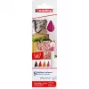 Canetas de feltro Edding 4600 conjunto — 5 cores (preto, carmesim, laranja, rosa, vermelho), ponta bala