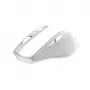 Trust Nito Rato Universal Destro RF Wireless Ótico 2200 DPI