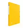 Dossier de arquivo Oxford 100200360