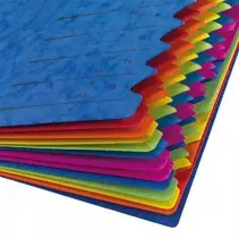 Herlitz 5001128 separadores A4, 12 compartimentos, azul, 2 elásticos