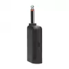 Conjunto de microfones JBL Wireless Two Microphone System