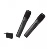 Conjunto de microfones JBL Wireless Two Microphone System