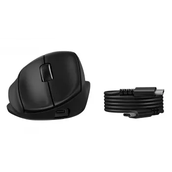 Rato ergonómico inclinável sem fios HP Tilt Ergonomic 725M, preto