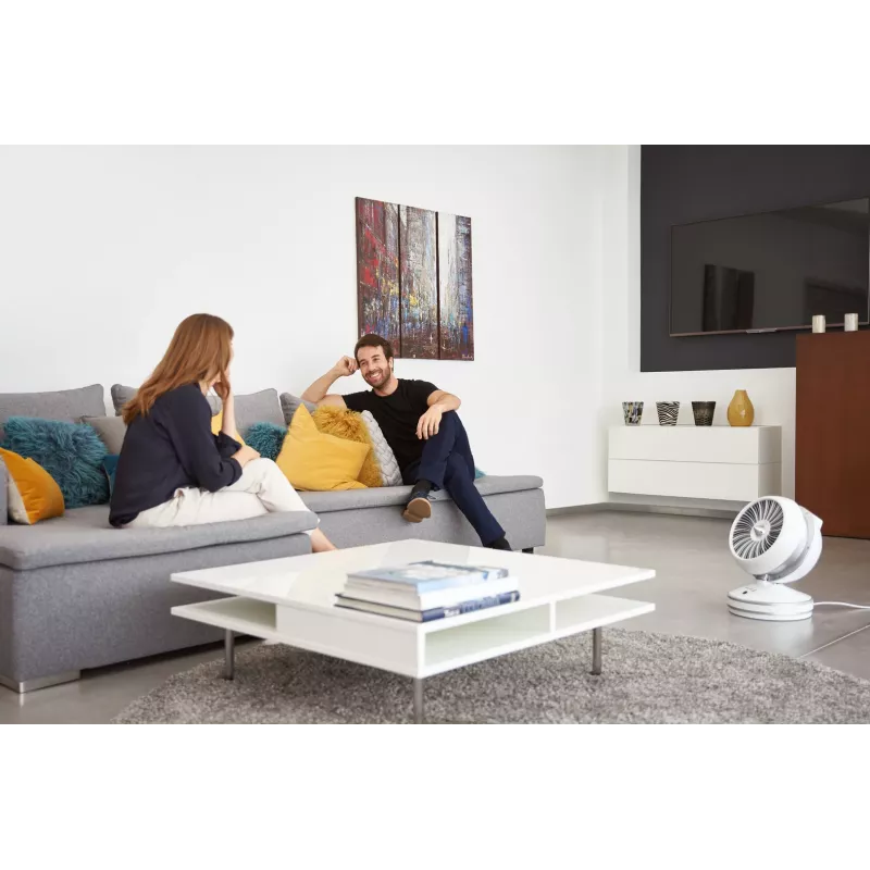 Rowenta HQ7152 ventilador para interiores branco, prateado aquecedor elétrico de ambiente