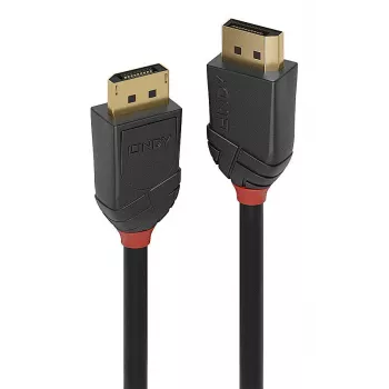 Lindy 36515 cabo DisplayPort 0,5 m preto