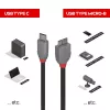 Cabo Lindy USB 3.2 Type-C para Micro-B, Anthra Line, 2 m, USB C, Micro-USB B, USB 3.2 Gen 1 (3.1 Gen 1), preto