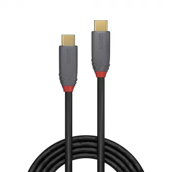 Cabo USB Lindy 36904 USB 3.2 Gen 2 (3.1 Gen 2) 3 m USB C preto